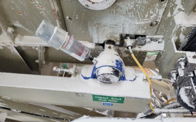 Fallstudie aus Australien